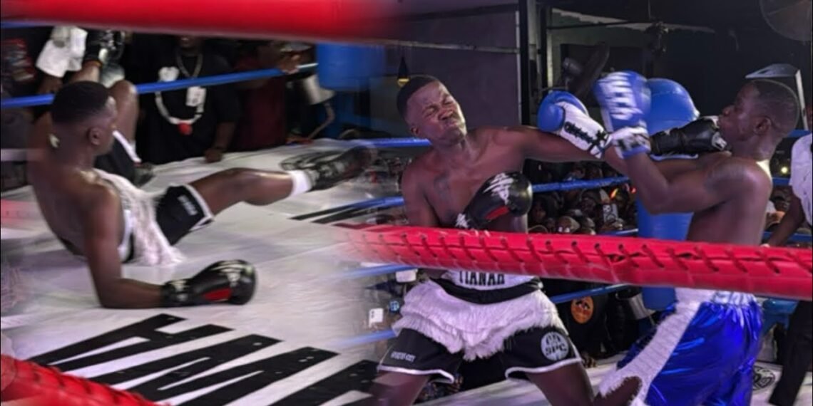 Chicken vs Shawa boxing match