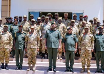 UPDF